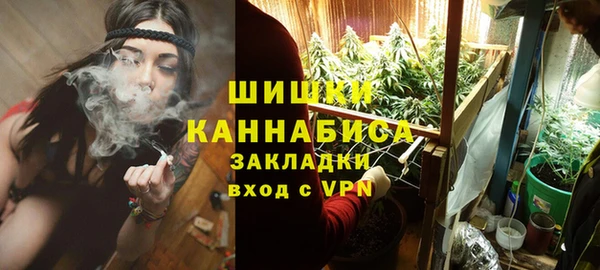 кокс Арсеньев