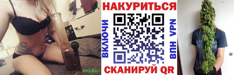 Каннабис планчик  shop наркотические препараты  Колпашево  купить  